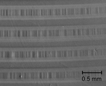 Magnetooptisches Bild einer Diskette